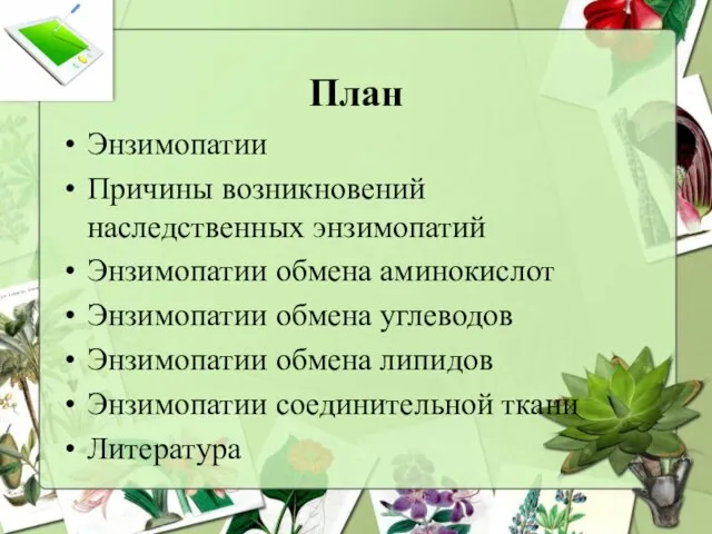 План Энзимопатии Причины возникновений наследственных энзимопатий Энзимопатии обмена аминокислот Энзимопатии обмена