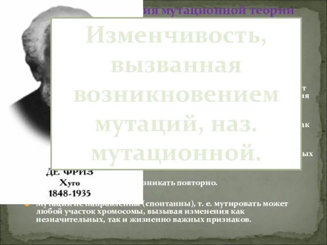 Мутации возникают внезапно, скачкообразно, как дискретные изменения признаков. В отличие от