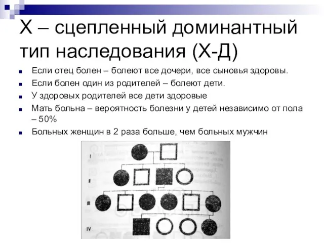 Х – сцепленный доминантный тип наследования (Х-Д) Если отец болен –