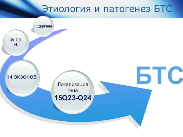 Этиология и патогенез БТС БТС Локализация гена 15q23-Q24 35 т.п.н. 1:250’000