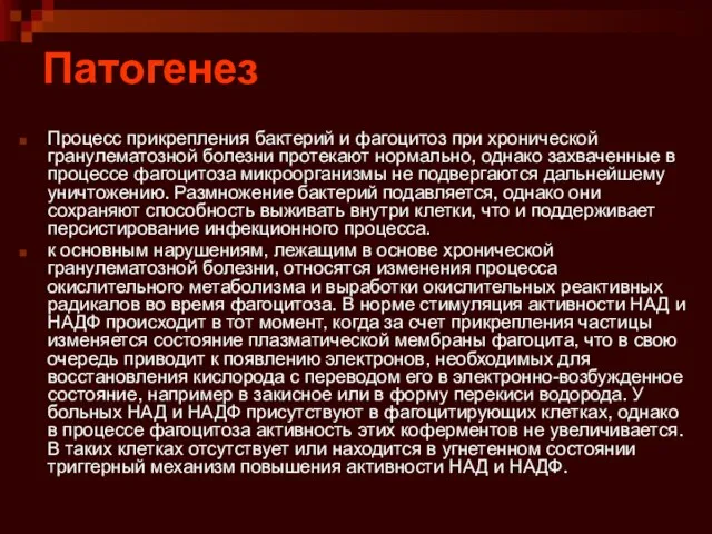 Патогенез Процесс прикрепления бактерий и фагоцитоз при хронической гранулематозной болезни протекают