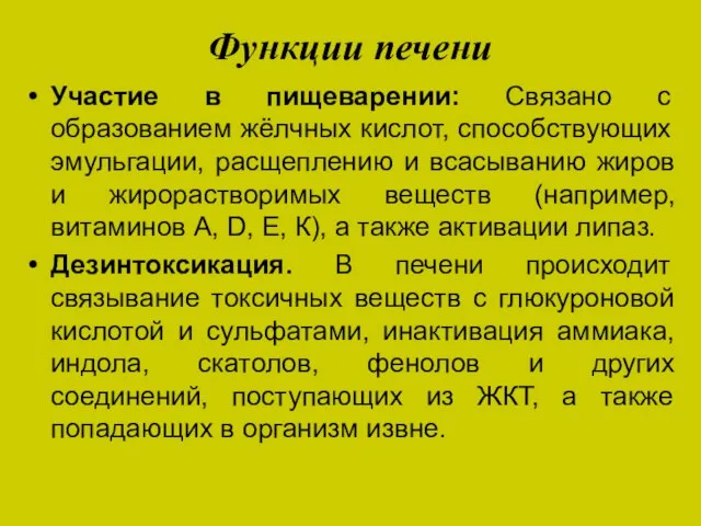 Функции печени Участие в пищеварении: Связано с образованием жёлчных кислот, способствующих