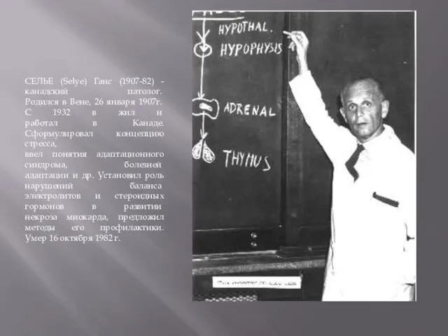 СЕЛЬЕ (Selye) Ганс (1907-82) - канадский патолог. Родился в Вене, 26