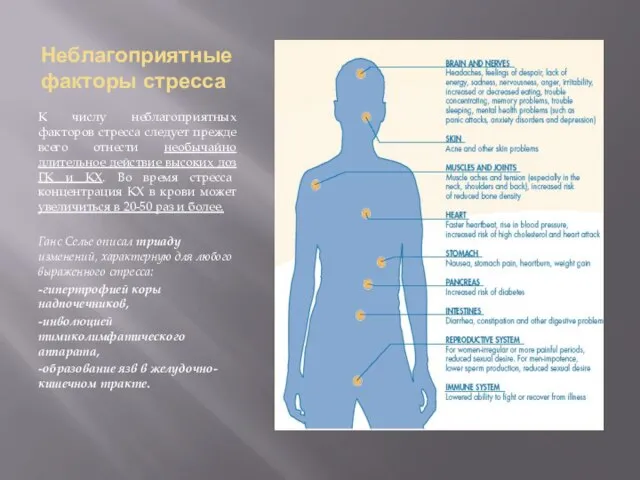 Неблагоприятные факторы стресса К числу неблагоприятных факторов стресса следует прежде всего