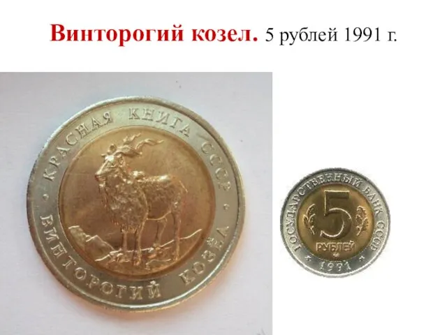 Винторогий козел. 5 рублей 1991 г.
