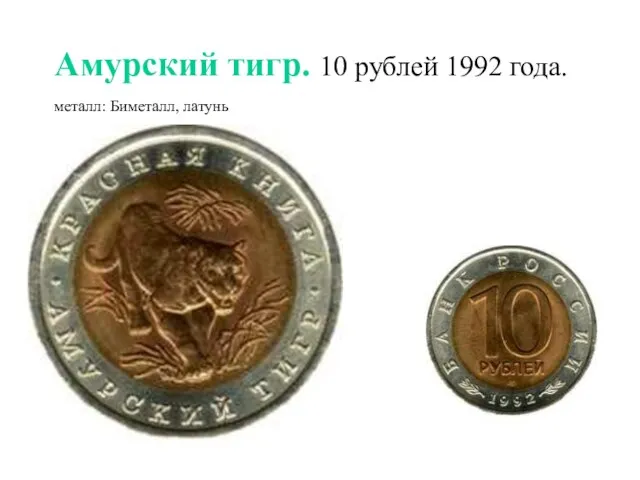 Амурский тигр. 10 рублей 1992 года. металл: Биметалл, латунь