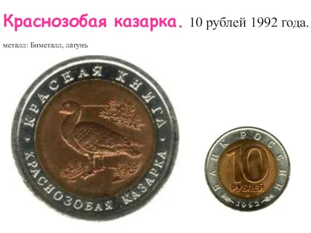 Краснозобая казарка. 10 рублей 1992 года. металл: Биметалл, латунь