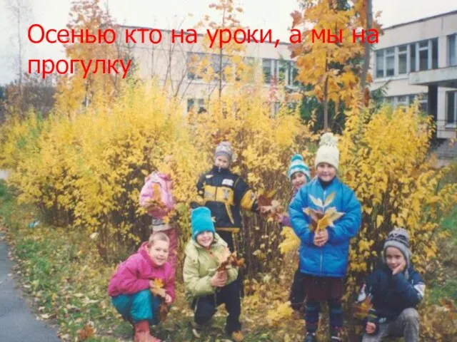 Осенью кто на уроки, а мы на прогулку