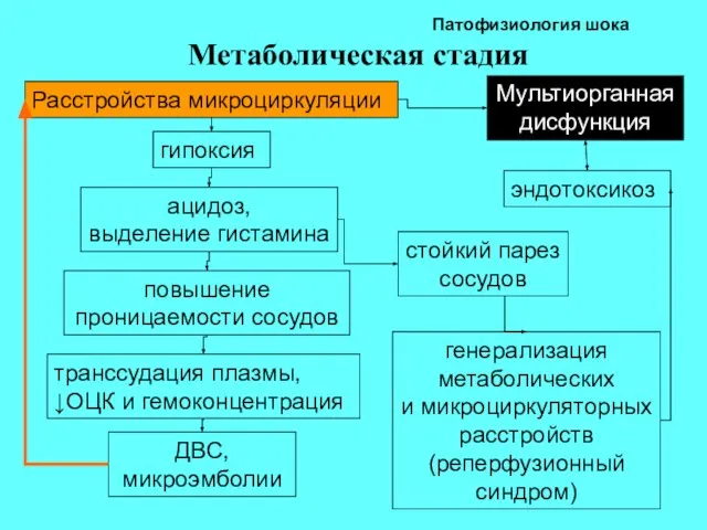 Патофизиология шока Метаболическая стадия Расстройства микроциркуляции гипоксия ацидоз, выделение гистамина повышение