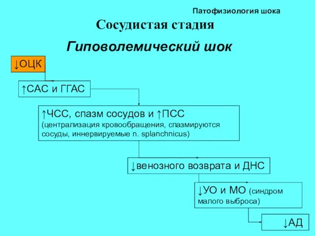 Патофизиология шока Сосудистая стадия ↓АД Гиповолемический шок ↓ОЦК ↑САС и ГГАС