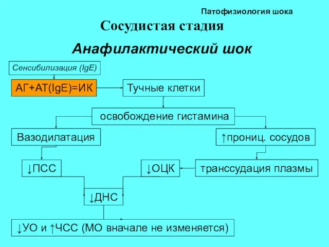 Патофизиология шока Сосудистая стадия Анафилактический шок АГ+АТ(IgE)=ИК Сенсибилизация (IgE) Тучные клетки