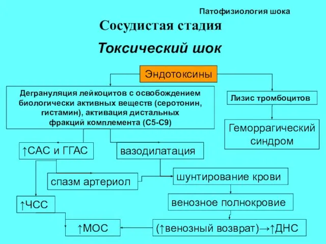 Патофизиология шока Сосудистая стадия Токсический шок Эндотоксины Лизис тромбоцитов Дегрануляция лейкоцитов