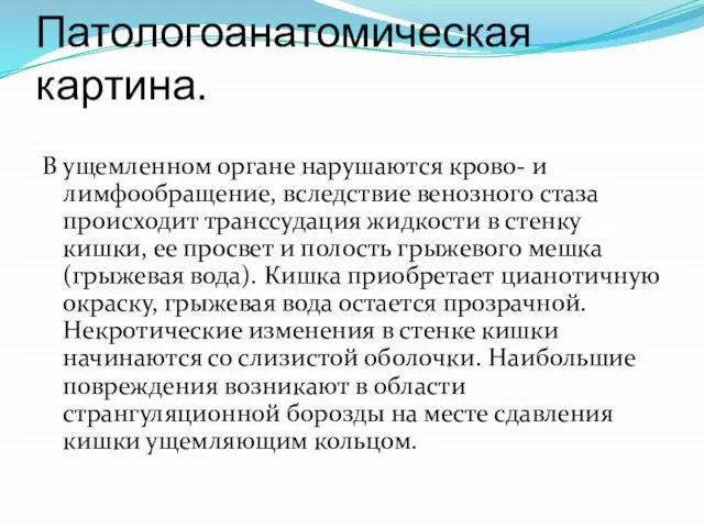 Патологоанатомическая картина. В ущемленном органе нарушаются крово- и лимфообращение, вследствие венозного