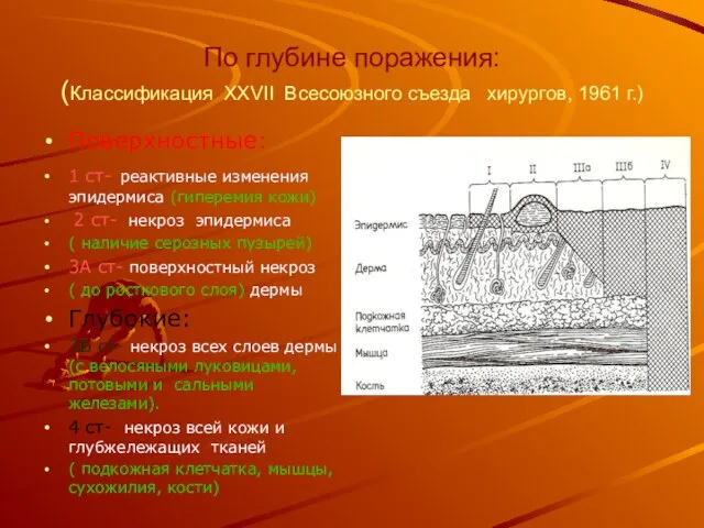 По глубине поражения: (Классификация XXVII Всесоюзного съезда хирургов, 1961 г.) Поверхностные: