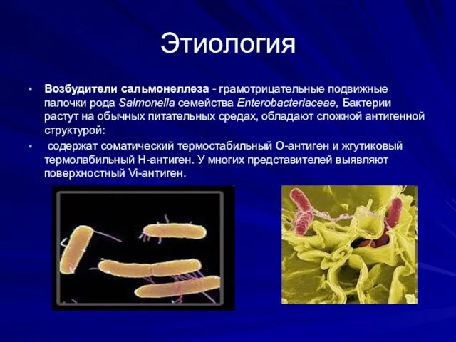 Этиология Возбудители сальмонеллеза - грамотрицательные подвижные палочки рода Salmonella семейства Enterobacteriaceae,