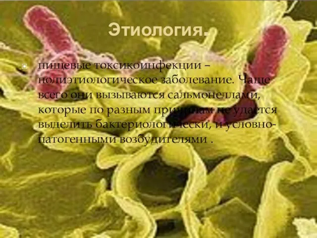 Этиология. пищевые токсикоинфекции – полиэтиологическое заболевание. Чаще всего они вызываются сальмонеллами,