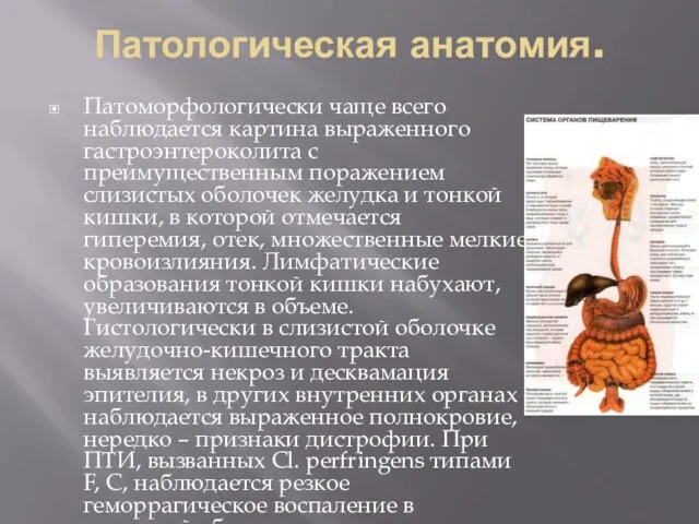 Патологическая анатомия. Патоморфологически чаще всего наблюдается картина выраженного гастроэнтероколита с преимущественным