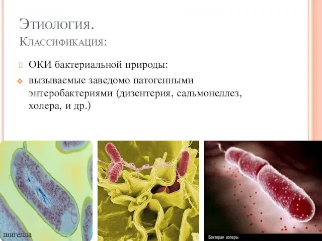 Этиология. Классификация: ОКИ бактериальной природы: вызываемые заведомо патогенными энтеробактериями (дизентерия, сальмонеллез, холера, и др.) шигелла