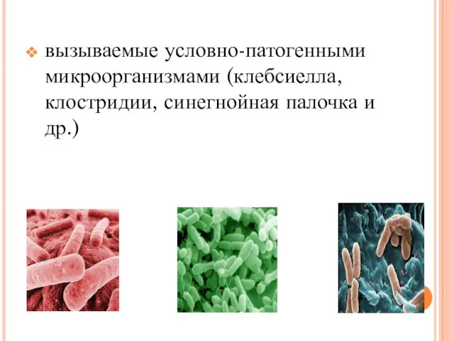 вызываемые условно-патогенными микроорганизмами (клебсиелла, клостридии, синегнойная палочка и др.)