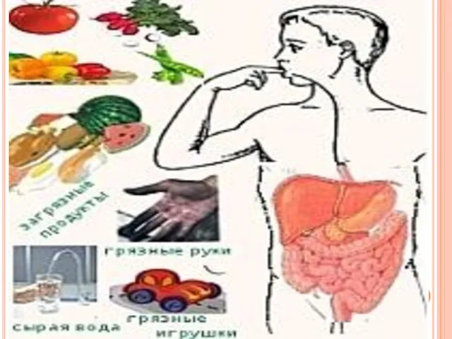 Патогенез Из ротовой полости возбудители попадают в желудок, где могут находиться