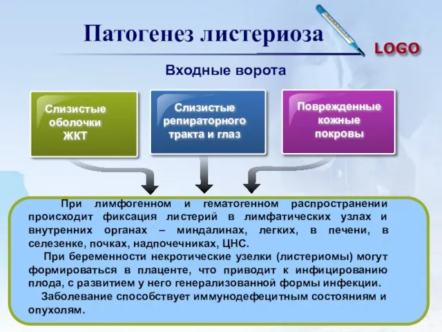 Патогенез листериоза Слизистые оболочки ЖКТ Слизистые репираторного тракта и глаз Поврежденные