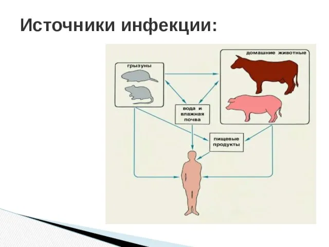 Источники инфекции: