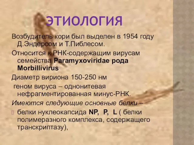 ЭТИОЛОГИЯ Возбудитель кори был выделен в 1954 году Д.Эндерсом и Т.Пиблесом.