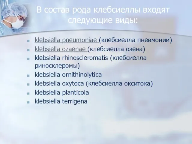 В состав рода клебсиеллы входят следующие виды: klebsiella pneumoniae (клебсиелла пневмонии)