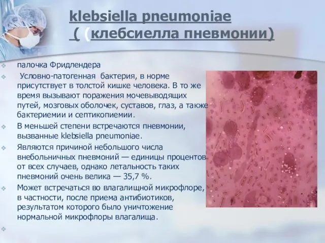 klebsiella pneumoniae ( (клебсиелла пневмонии) палочка Фридлендера Условно-патогенная бактерия, в норме