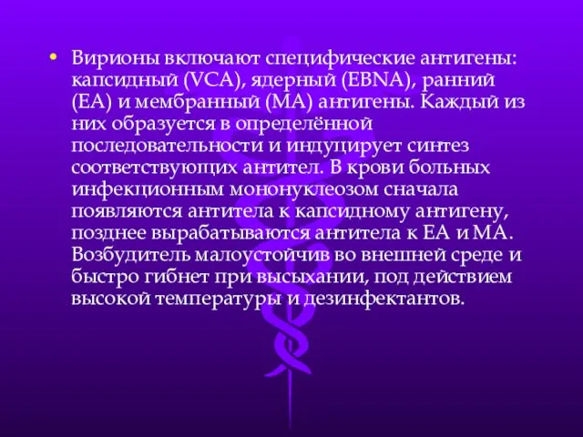 Вирионы включают специфические антигены: капсидный (VCA), ядерный (EBNA), ранний (ЕА) и