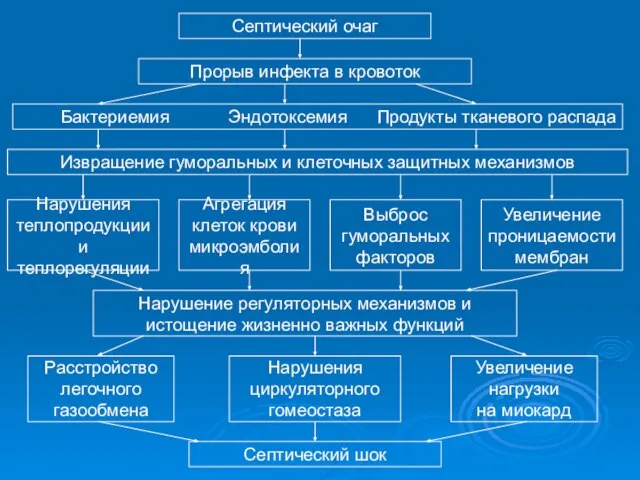 Септический очаг Прорыв инфекта в кровоток Бактериемия Эндотоксемия Продукты тканевого распада