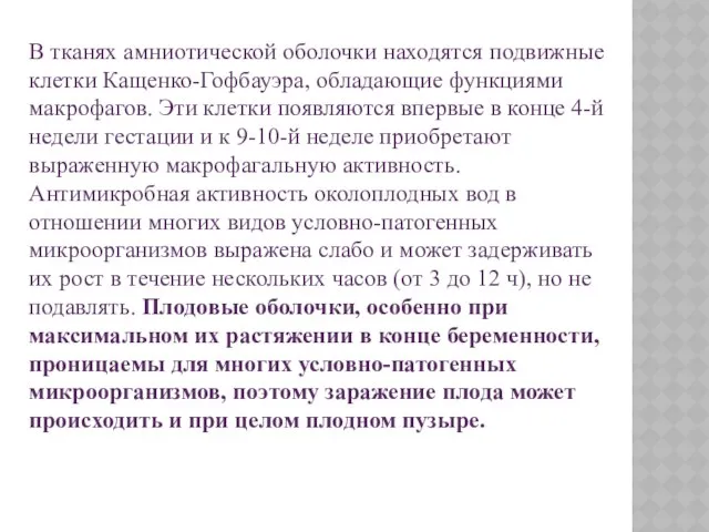 В тканях амниотической оболочки находятся подвижные клетки Кащенко-Гофбауэра, обладающие функциями макрофагов.