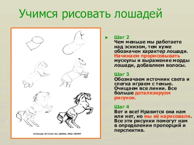 Учимся рисовать лошадей Шаг 2 Чем меньше мы работаете над эскизом,