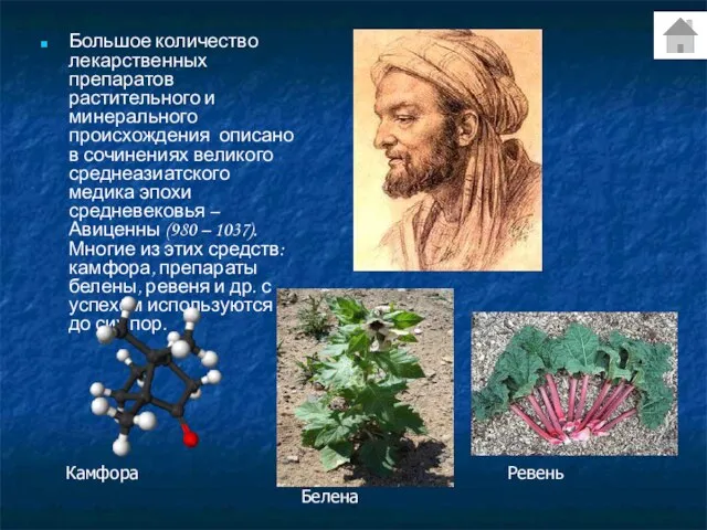 Большое количество лекарственных препаратов растительного и минерального происхождения описано в сочинениях