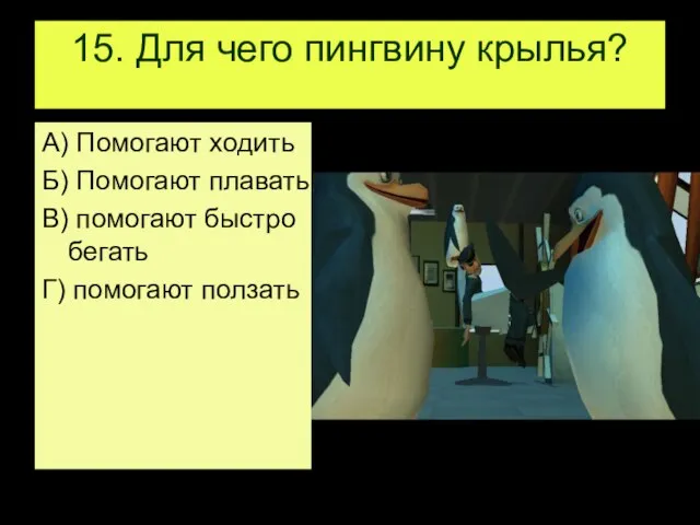 15. Для чего пингвину крылья? А) Помогают ходить Б) Помогают плавать