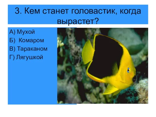 3. Кем станет головастик, когда вырастет? А) Мухой Б) Комаром В) Тараканом Г) Лягушкой