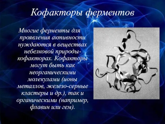 Кофакторы ферментов Многие ферменты для проявления активности нуждаются в веществах небелковой