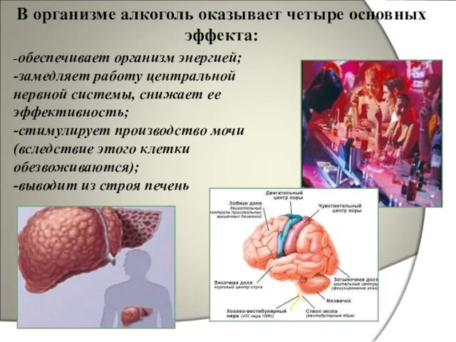 В организме алкоголь оказывает четыре основных эффекта: -обеспечивает организм энергией; -замедляет