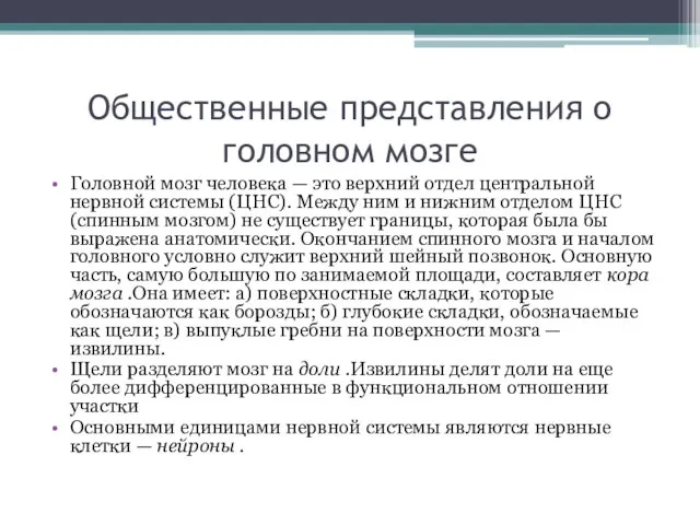 Общественные представления о головном мозге Головной мозг человека — это верхний