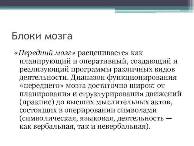 Блоки мозга «Передний мозг» расценивается как планирующий и оперативный, создающий и