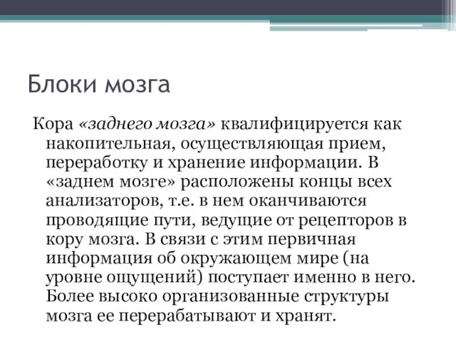 Блоки мозга Кора «заднего мозга» квалифицируется как накопительная, осуществляющая прием, переработку