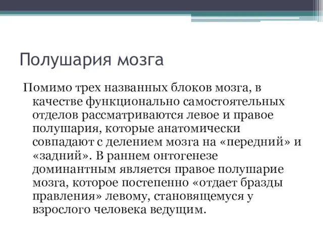 Полушария мозга Помимо трех названных блоков мозга, в качестве функционально самостоятельных