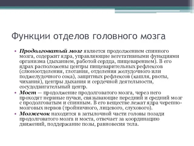 Функции отделов головного мозга Продолговатый мозг является продолжением спинного мозга, содержит