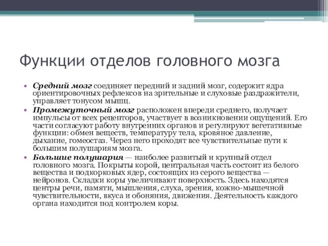 Функции отделов головного мозга Средний мозг соединяет передний и задний мозг,