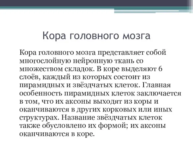 Кора головного мозга Кора головного мозга представляет собой многослойную нейронную ткань