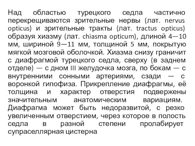 Над областью турецкого седла частично перекрещиваются зрительные нервы (лат. nervus opticus)