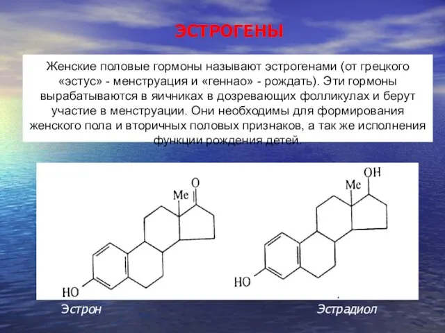 ЭСТРОГЕНЫ Женские половые гормоны называют эстрогенами (от грецкого «эстус» - менструация