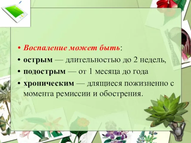 Воспаление может быть: острым — длительностью до 2 недель, подострым —