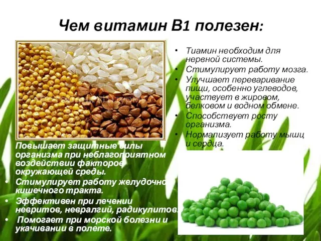 Чем витамин В1 полезен: Повышает защитные силы организма при неблагоприятном воздействии