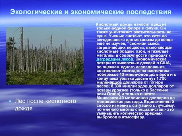 Экологические и экономические последствия Лес после кислотного дождя Кислотный дождь наносит